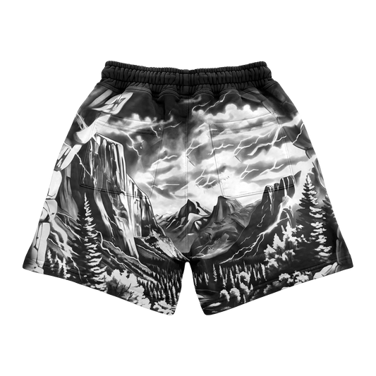 Vision Valley shorts black