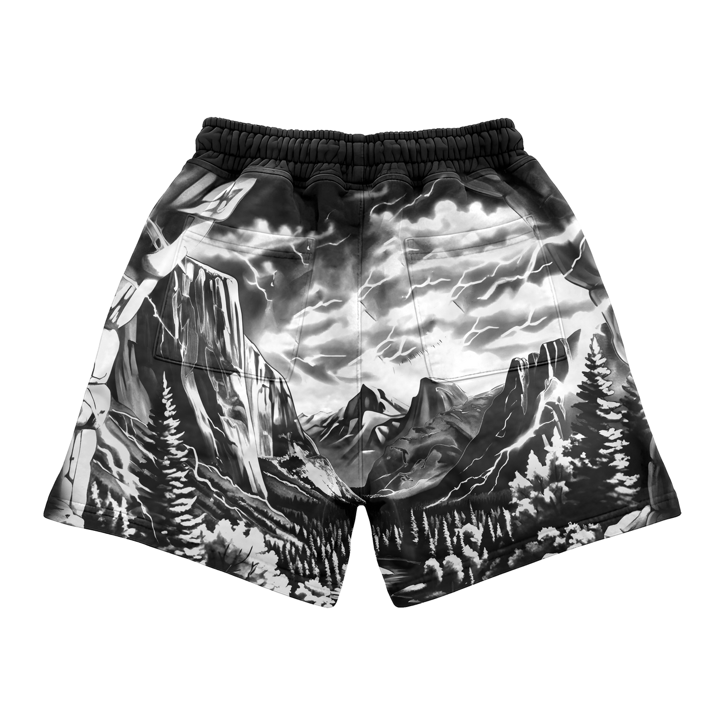 Vision Valley shorts black