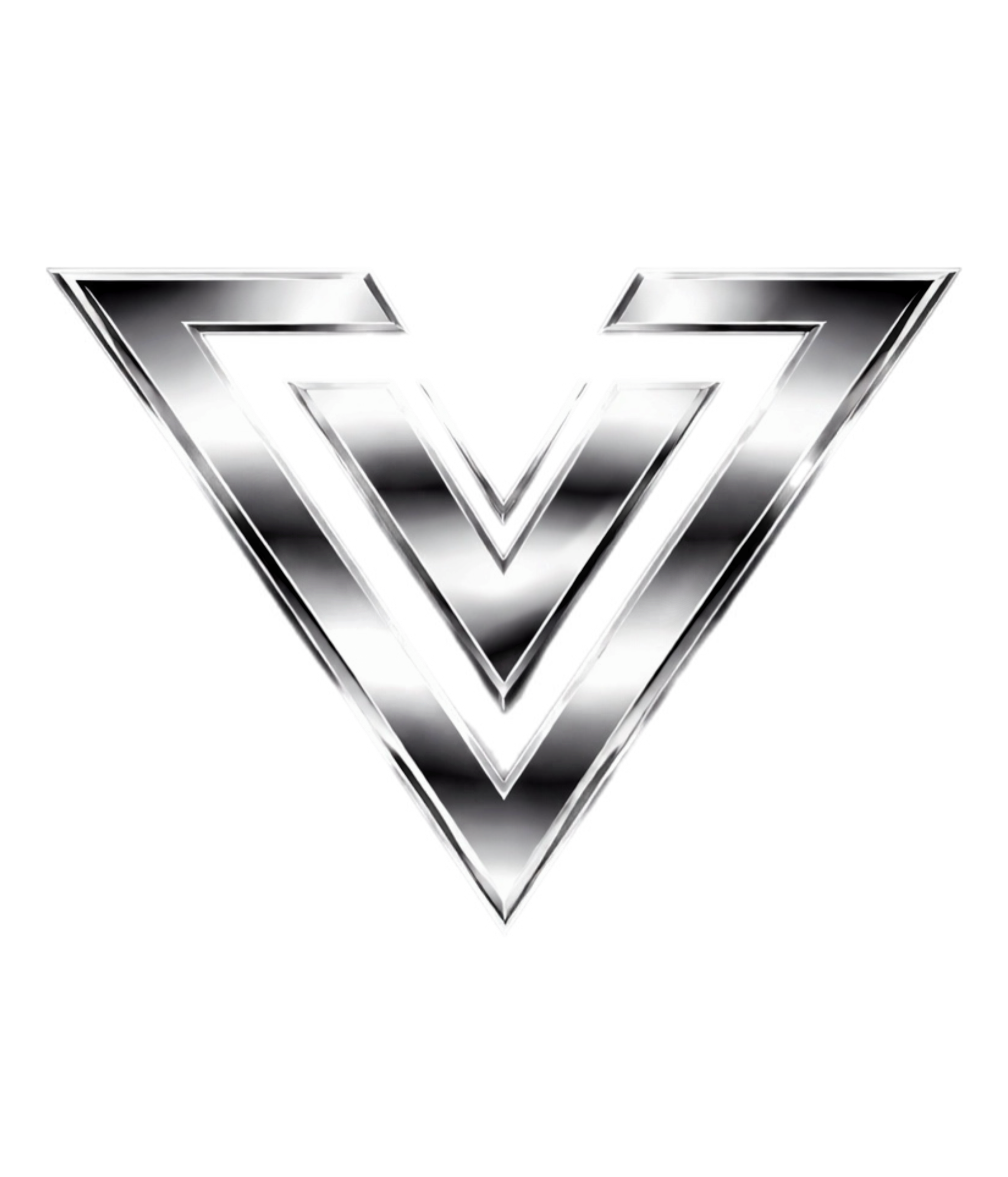 Vision Valley LC